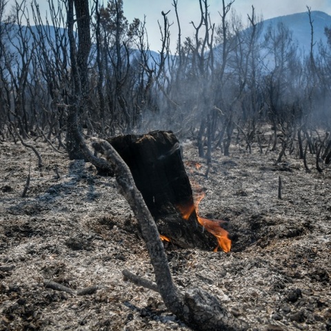 Καμένη έκταση στα Βίλια Αττικής - Σε εξέλιξη τα πύρινα μέτωπα 