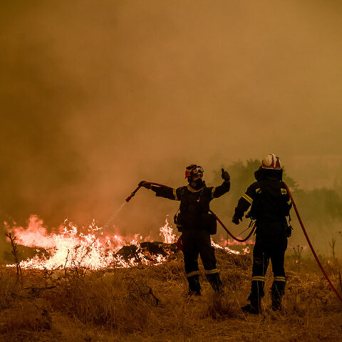 Πυροσβέστες σε δασική πυρκαγιά στα Βίλια - Δεκάδες συλλήψεις τον Αύγουστο για εμπρησμό
