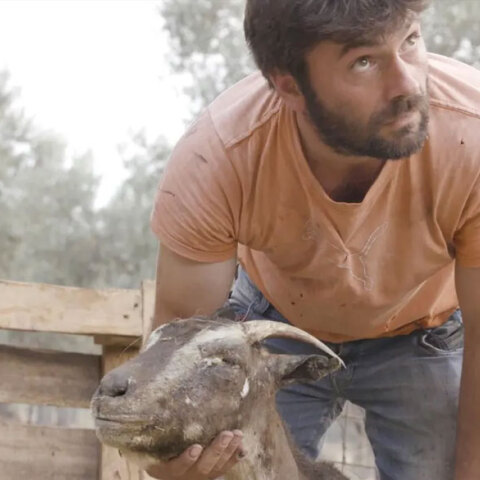 Ο βοσκός Γιάννης Τσιμπούκας μίλησε στον «Guardian» για την καταστροφή που προκάλεσαν οι πυρκαγιές στην Εύβοια