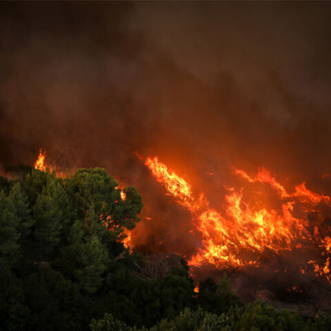 Δασική πυρκαγιά (ΦΩΤΟ ΑΡΧΕΙΟΥ) - Ελεύθερος αφέθηκε ο 14χρονος που κατηγορείται για εμπρησμό στον Θεολόγο Μαλεσίνας