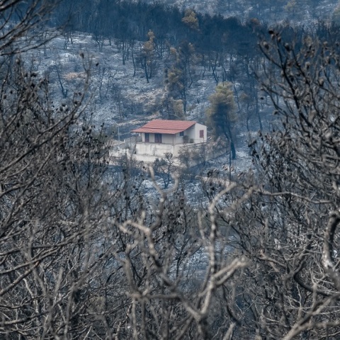 Βίλια: Η επόμενη ημέρα από το πέρασμα της φωτιάς