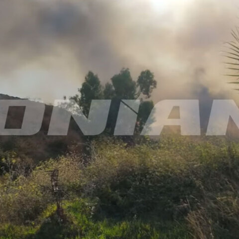 Στις φλόγες χαμηλή βλάστηση στην Κοινότητα Αργάσι στη Ζάκυνθο, όπου ξέσπασε φωτιά