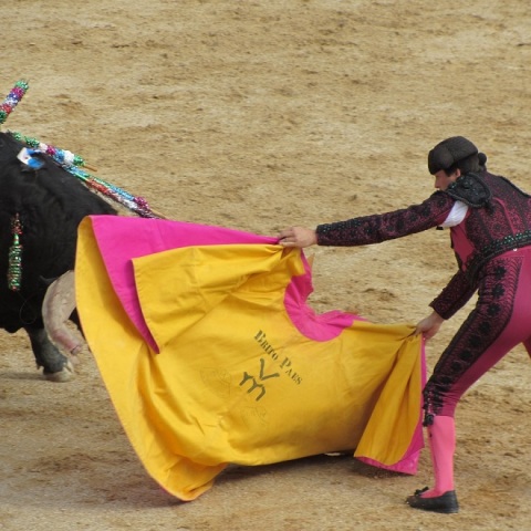 Ταυρομαχία (φωτογραφία αρχείου)