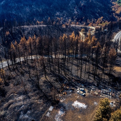 Καμένες εκτάσεις μετά τις πρόσφατες καταστροφικές πυρκαγιές στη Βόρεια Εύβοια