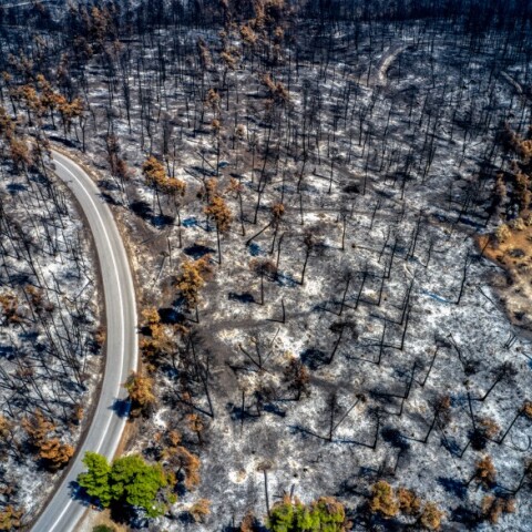 Βόρεια Εύβοια: Οι καταστροφές από τη φωτιά © EUROKINISSI 