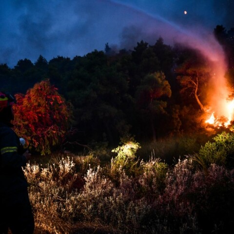 Φωτιά στα Βίλια © EUROKINISSI 