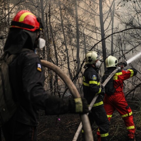 Γερμανός πυροσβέστης μιλά για την εμεπιρία του στις φωτιές στην Ελλάδα © EUROKINISSI