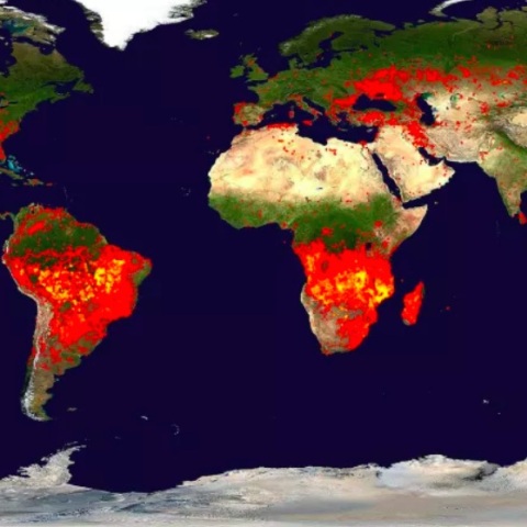 Τεχνολογία και κλιματική αλλαγή: Το λάθος ψάρι στη λίμνη