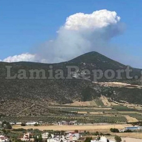 Φωτιά στο Λογγίτσι Φθιώτιδας 