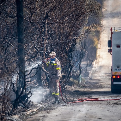 Φωτιά στην Εύβοια