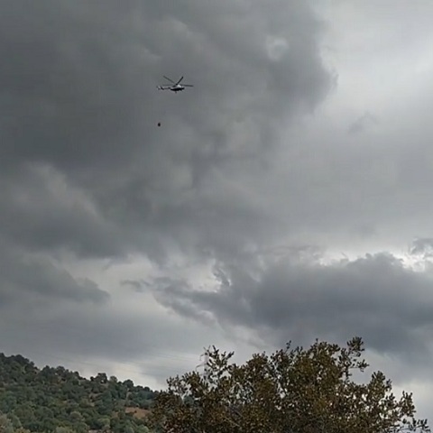 Φωτιά στο Κοπτερό Ροδόπης 