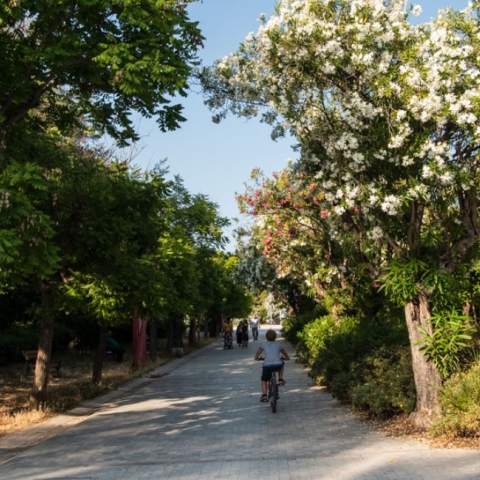 Πεδίον του Άρεως