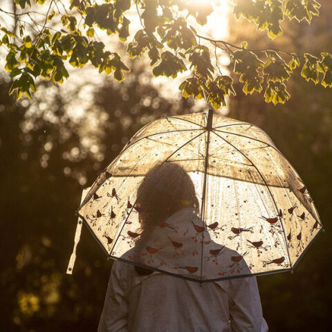 Κοπέλα με ομπρέλα (ΦΩΤΟ ΑΡΧΕΙΟΥ) - Βροχερός ο καιρός αύριο Τρίτη 7 Σεπτεμβρίου 2021