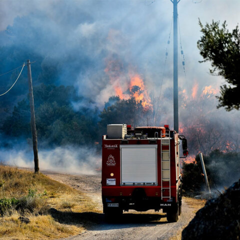 Πυροσβεστικό όχημα σε δασική πυρκαγιά - Ξέσπασε φωτιά στο Δίστομο