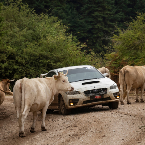 Ξεκινάει αύριο το Ράλλυ Ακρόπολις!