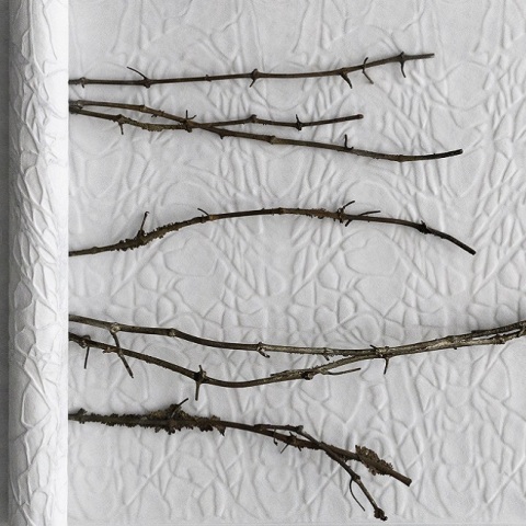 Έργο του Giuseppe Penone.