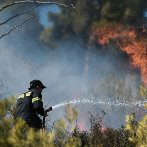 Πυροσβέστης ρίχνει νερό σε δασική πυρκαγιά - Εκδηλώθηκε φωτιά στον Κάλαμο Αττικής