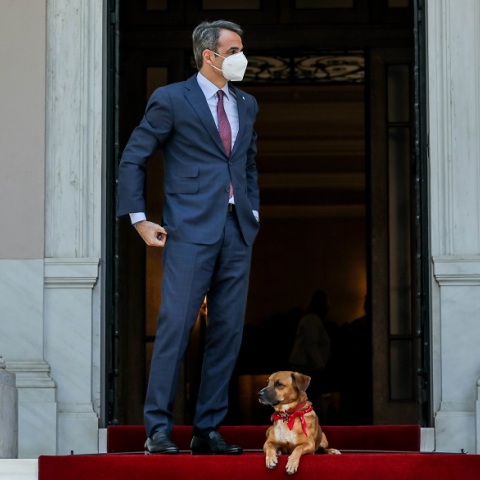 Ο PEANUT ΣΤΗΝ ΥΠΟΔΟΧΗ ΤΟΥ ΠΡΟΕΔΡΟΥ ΤΟΥ ΕΥΡΩΠΑΪΚΟΥ ΚΟΙΝΟΒΟΥΙΟΥ D. SASSOLI ΑΠΟ ΤΟΝ ΠΡΩΘΥΠΟΥΡΓΟ ΚΥΡ. ΜΗΤΣΟΤΑΚΗ ΣΤΟ ΜΕΓΑΡΟ ΜΑΞΙΜΟΥ 