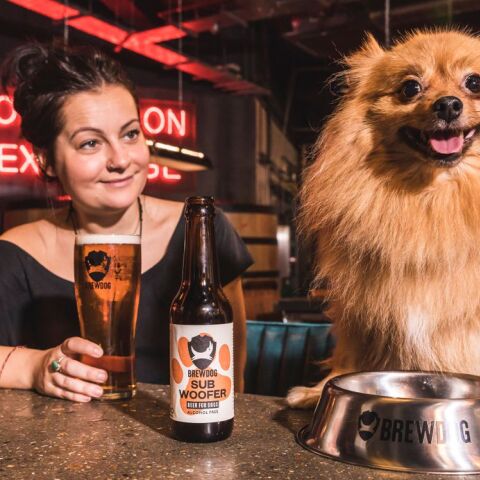 Σκύλος πίνει μπίρα