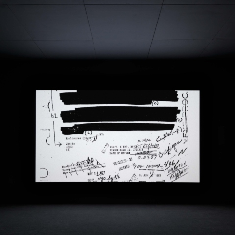 Steve McQueen, End credits-2012 ongoing