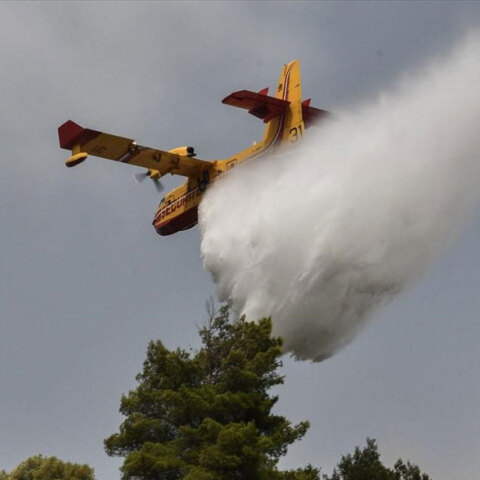 Αεροσκάφος Canadair επιχειρεί σε δασική πυρκαγιά