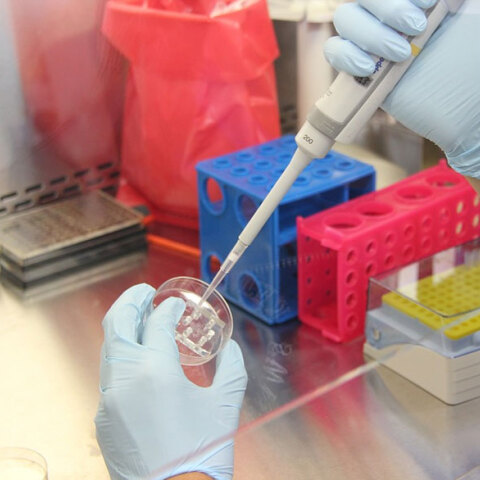 Δοκιμές σε εργαστήριο για τον κορωνοϊό (ΦΩΤΟ ΑΡΧΕΙΟΥ) - Ερευνητές στη Γαλλία αναπτύσσουν ρινικό εμβόλιο κατά της Covid-19