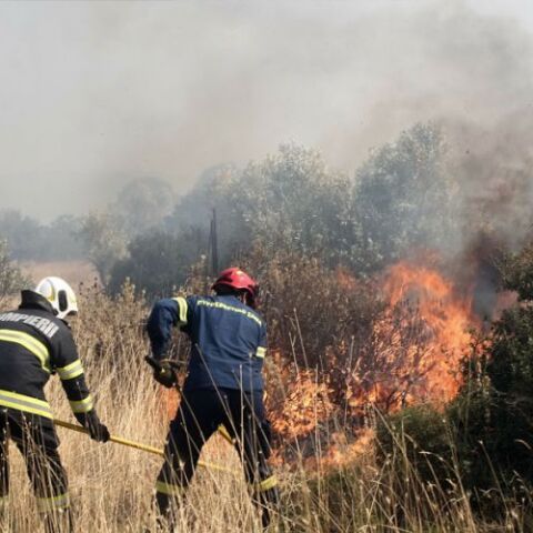 Πυροσβέστες επιχειρούν σε πυρκαγιά