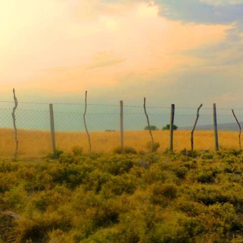 Φωτογραφία στο εξώφυλλο της συλλογής «Ποιήματα» του Ηλία Ευθυμιόπουλου (εκδ. ATHENS VOICE BOOKS)
