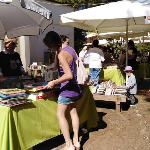 Το μεγάλο παζάρι της Πύρνας