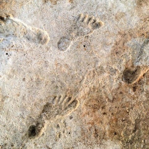 Βρέθηκαν οι αρχαιότερες πατημασιές ανθρώπων στην Αμερική