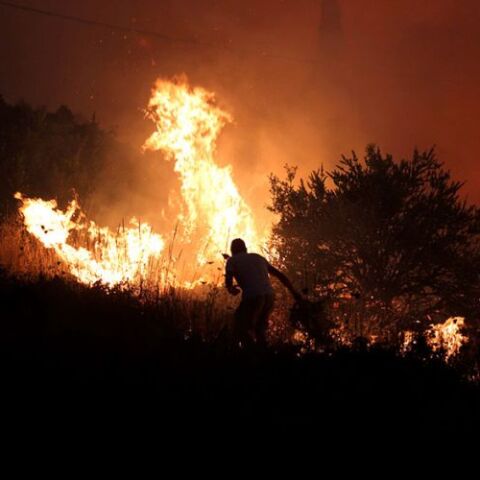 Πύργος: Σε εξέλιξη φωτιά στην περιοχή Άγναντα της Ηλείας