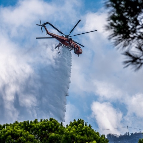 Φωτιά στην Εύβοια