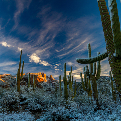 Κλιματική αλλαγή: Καύσωνες και τα σημερινά μωρά