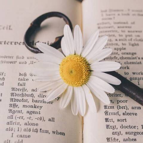 Βιβλίο - Μετάφραση βιβλίου