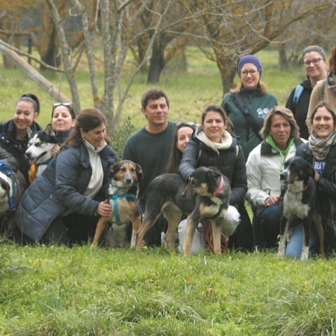 Από δραστηριότητα της Stray.gr το 2019.