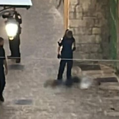 Νεκρή μία γυναίκα που επιχείρησε να επιτεθεί σε αστυνομικούς στην Ιερουσαλήμ