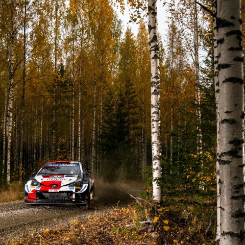 Αυτοκίνητο σε δάσος - Στιγμιότυπο από το Ράλι Φινλανδίας 2021
