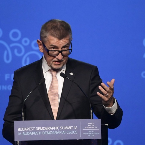 O πρωθυπουργός της Τσεχίας Αντρέις Μπάμπις