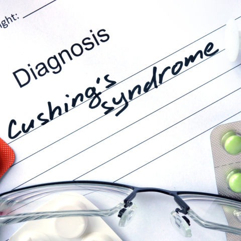 Ποιοι παράγοντες βοηθούν στη διαχείριση του συνδρόμου Cushing;