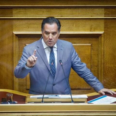 Ο Άδωνις Γεωργιάδης στη Βουλή