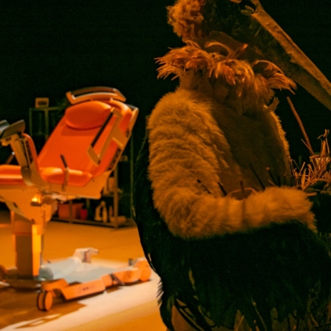 Το "Babybird babybird" σε σκηνοθεσία Δημήτρη Μπαμπίλη στα 56α Δημήτρια