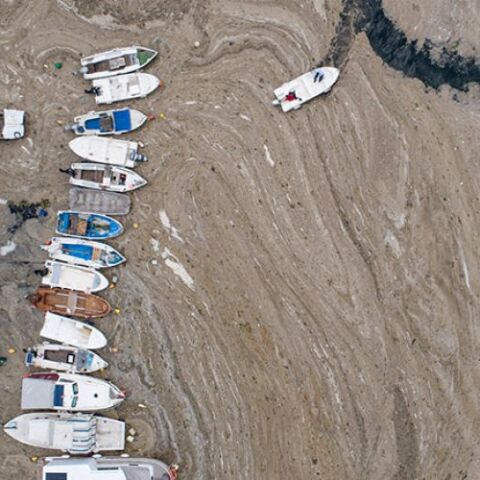 Θάλασσα Μαρμαρά: Εμφανίστηκε εκ νέου η βλέννα