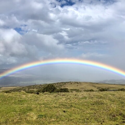 Ουράνιο Τόξο