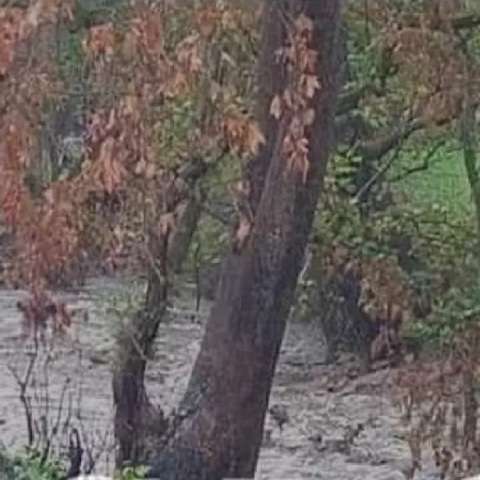 Κακοκαιρία στην Εύβοια: Έντονη βροχή στον Δήμο Μαντουδίου Λίμνης Αγίας Άννας