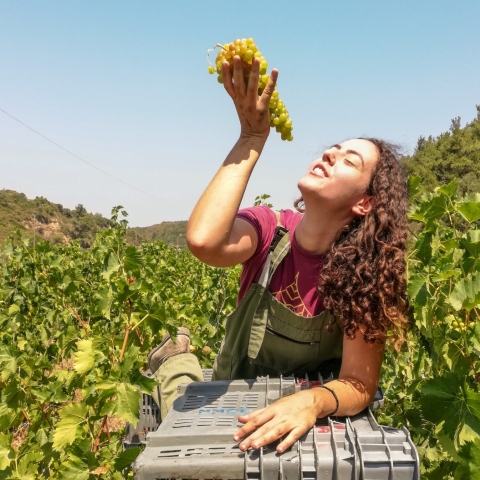 Η Ευμορφία Κωστάκη
