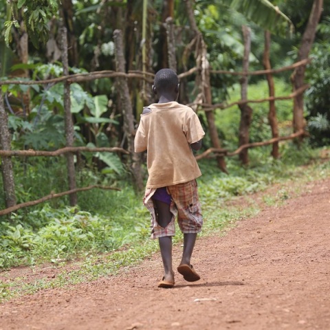 Covid-19: Ο κόσμος δεν πήρε μαθήματα από την πανδημία, σύμφωνα με έκθεση	