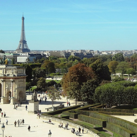 Τι είναι το αστικό δάσος -  στο Παρίσι θα έχουν 10 μέχρι το 2024