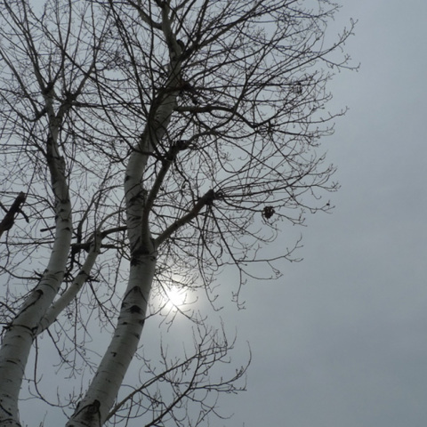 Φωτογραφία στο εξώφυλλο της συλλογής «Ποιήματα» του Ηλία Ευθυμιόπουλου (εκδ. ATHENS VOICE BOOKS)