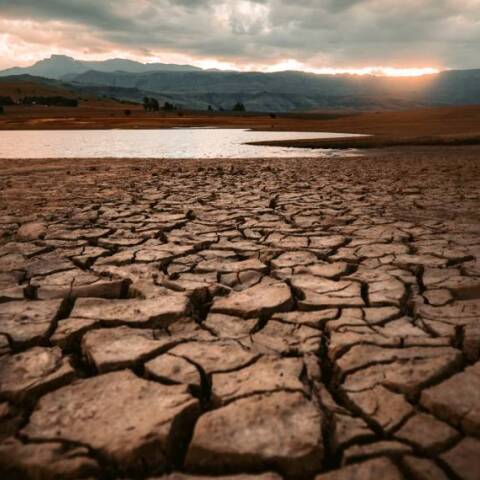 Ξηρασία