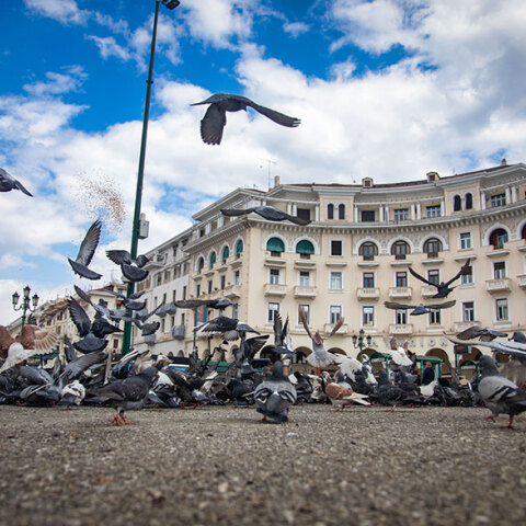 Στην κατανομή του ΕΟΔΥ για τα κρούσματα σήμερα Παρασκευή 29 Οκτωβρίου 2021 η Θεσσαλονίκη έχει περισσότερα από την Αττική